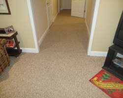 carpet_27