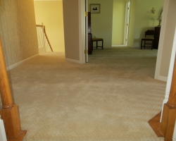 carpet_42
