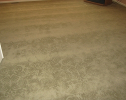 carpet_45