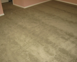 carpet_46