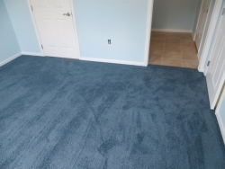 carpet_51
