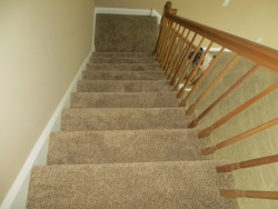 carpet_55