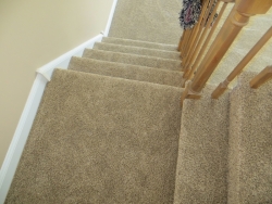 carpet_57