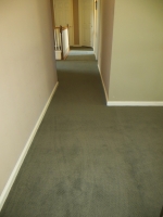 carpet_64