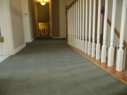 carpet_65