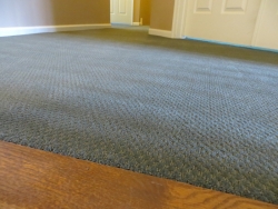 carpet_66