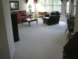 carpet_73