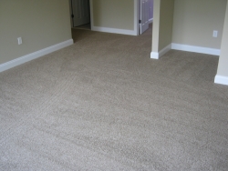 carpet_75