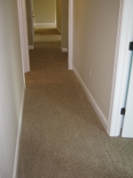 carpet_76