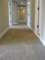 carpet_77