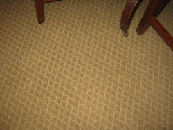 carpet_81