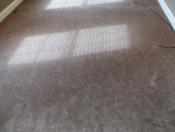 carpet_98