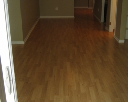 laminate_flooring_2
