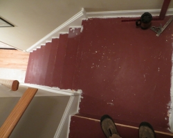 carpeted_stairs_16